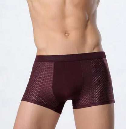 Ice silk men's underwear mesh boxer - Di Supremo