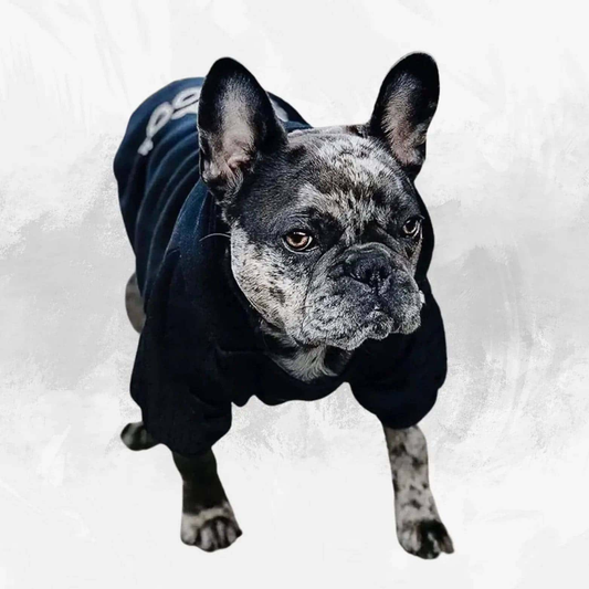 " THE DOG FACE" dog Hoodies My Shop Saver