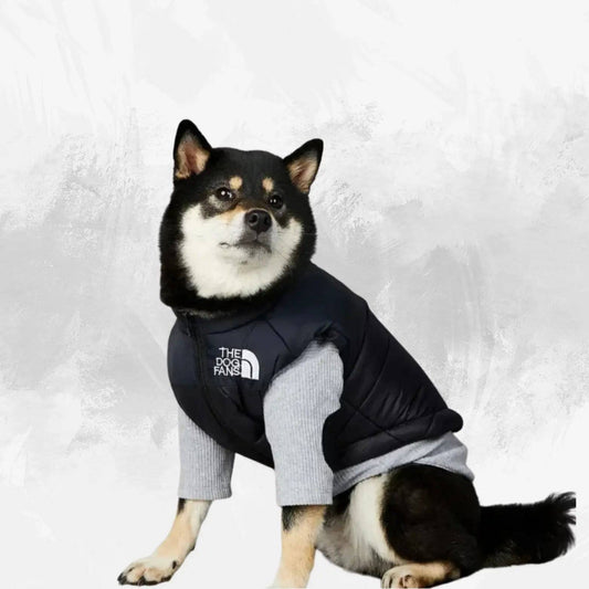 Windproof Rainproof Dog Coat My Shop Saver